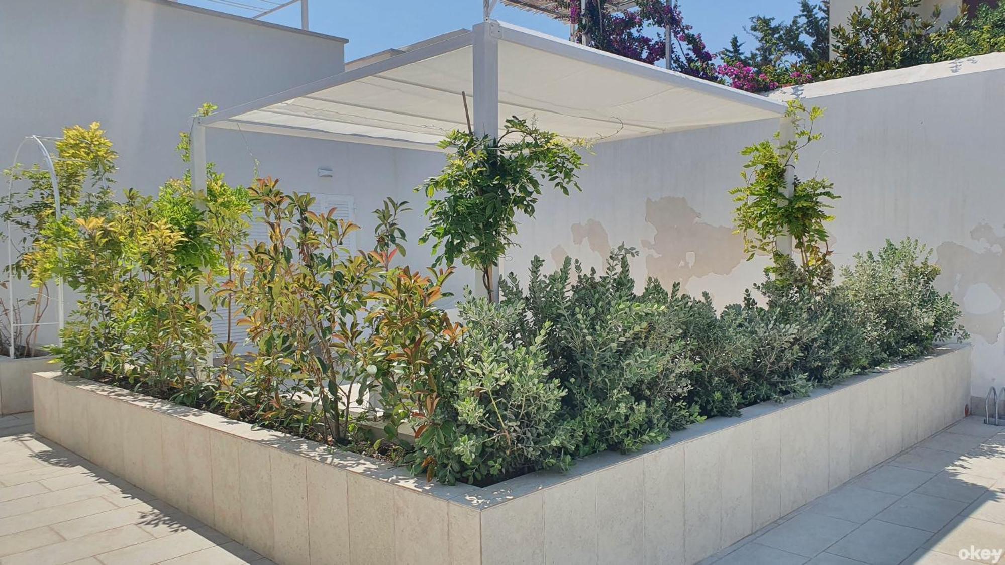 Villa Mediterranea Apartments - Seaview, Pool & Garden باري المظهر الخارجي الصورة